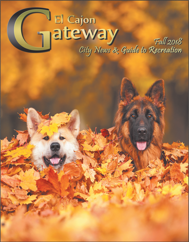 Fall 2018 Cover