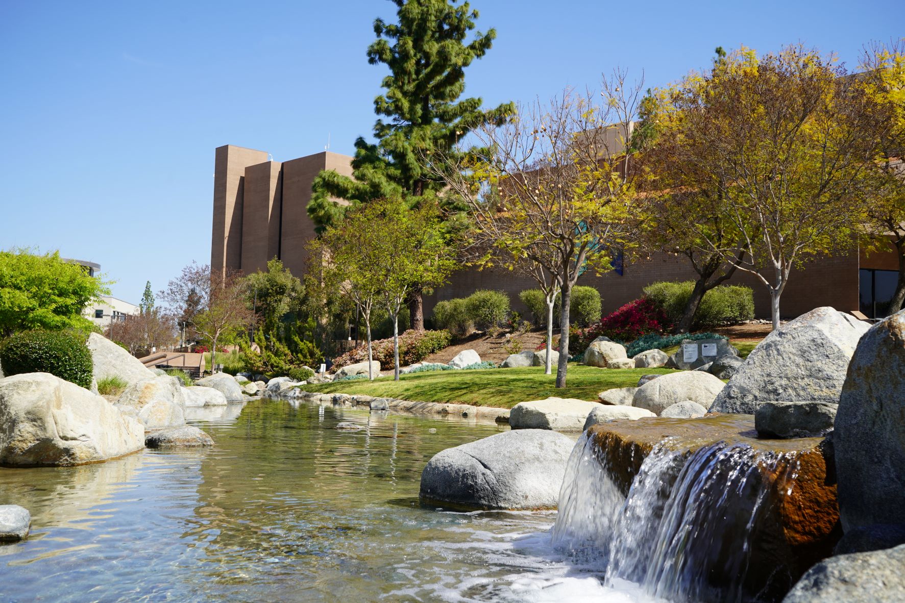 Magnolia fountain