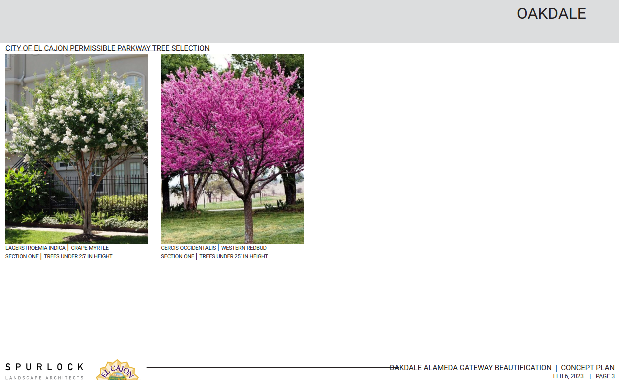 Oakdale Alameda Street Beautification Page 3