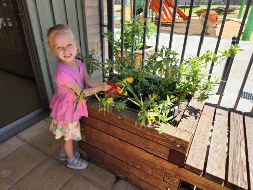 Youth Garden Smile