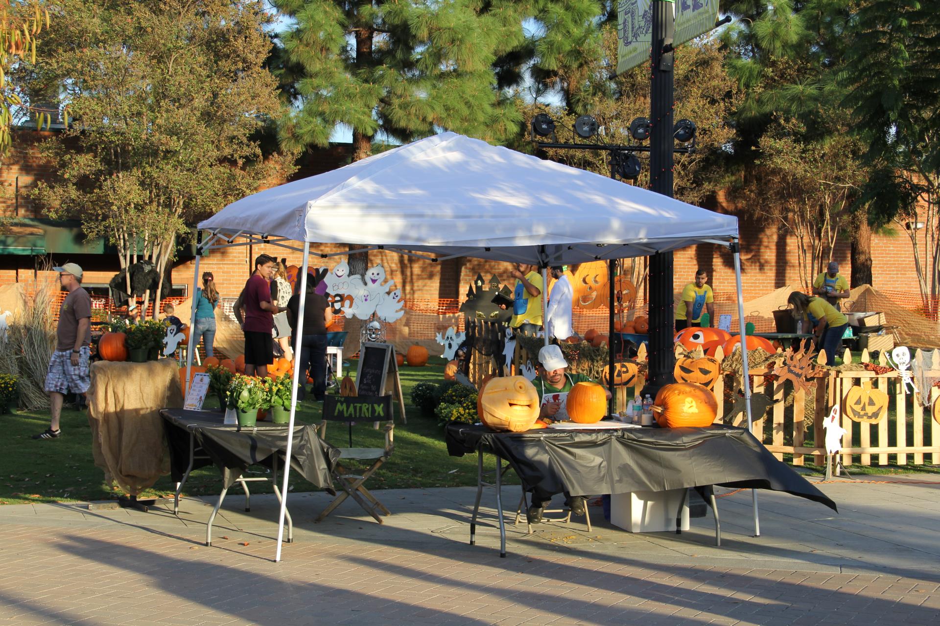 Hauntfest Pumpkin Patch