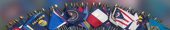 state flags